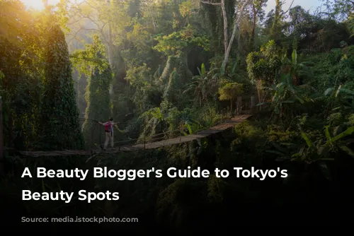 A Beauty Blogger's Guide to Tokyo's Best Beauty Spots