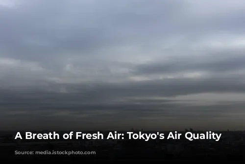 A Breath of Fresh Air: Tokyo's Air Quality Story