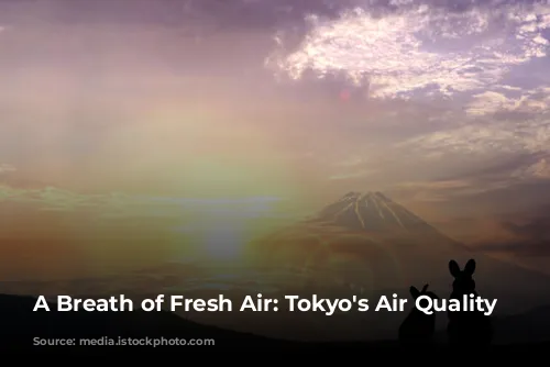 A Breath of Fresh Air: Tokyo's Air Quality Story