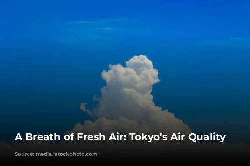 A Breath of Fresh Air: Tokyo's Air Quality Story