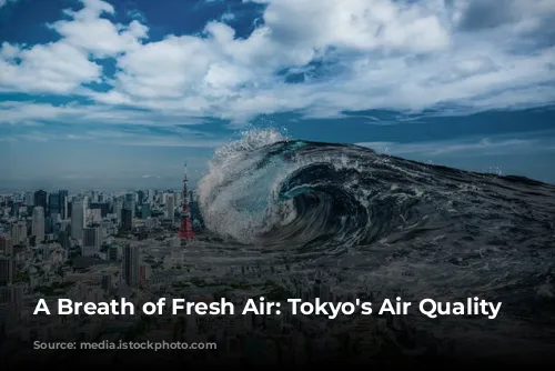 A Breath of Fresh Air: Tokyo's Air Quality Story