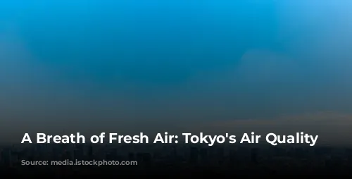 A Breath of Fresh Air: Tokyo's Air Quality Story