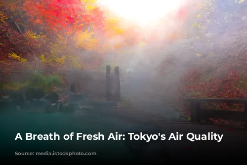 A Breath of Fresh Air: Tokyo's Air Quality Story