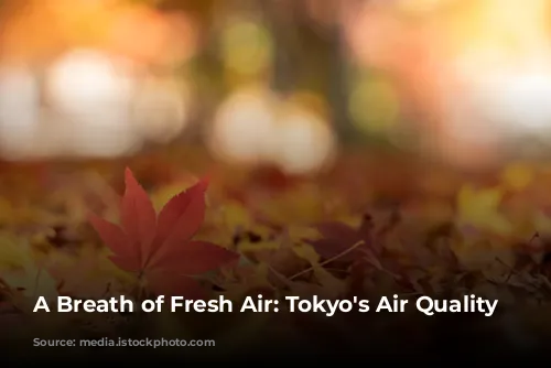 A Breath of Fresh Air: Tokyo's Air Quality Story