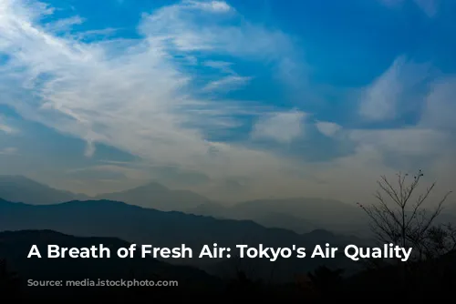 A Breath of Fresh Air: Tokyo's Air Quality Story