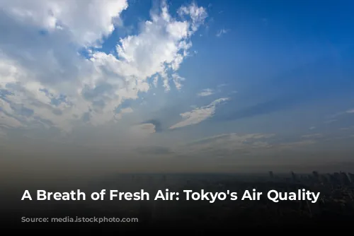 A Breath of Fresh Air: Tokyo's Air Quality Story