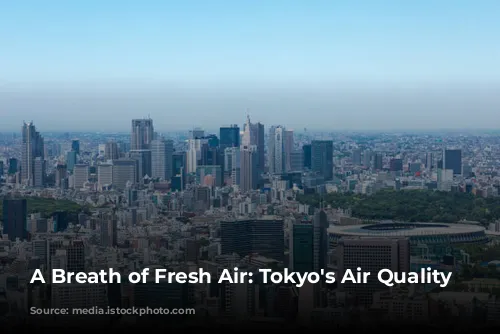 A Breath of Fresh Air: Tokyo's Air Quality Story