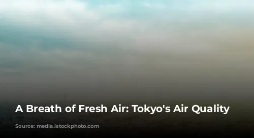 A Breath of Fresh Air: Tokyo's Air Quality Story