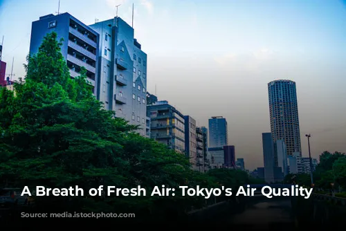 A Breath of Fresh Air: Tokyo's Air Quality Story