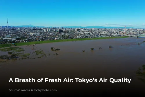 A Breath of Fresh Air: Tokyo's Air Quality Story