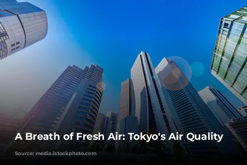 A Breath of Fresh Air: Tokyo's Air Quality Story