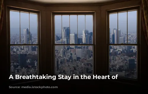 A Breathtaking Stay in the Heart of Tokyo