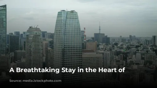 A Breathtaking Stay in the Heart of Tokyo