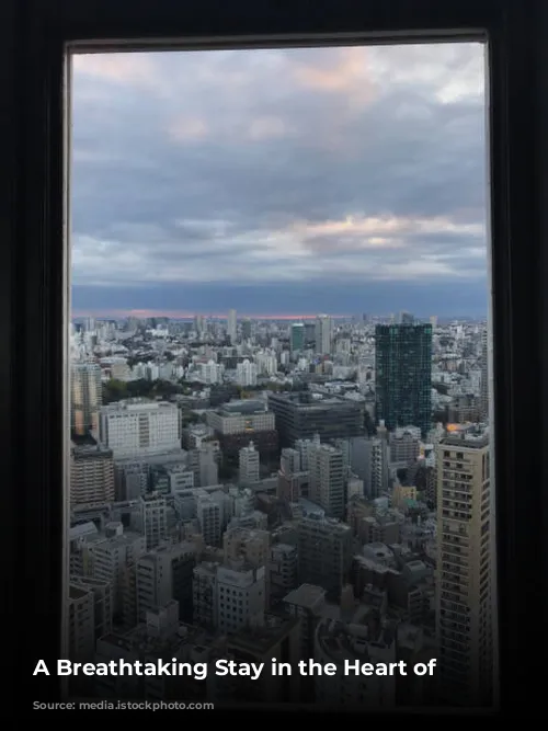 A Breathtaking Stay in the Heart of Tokyo