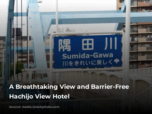 A Breathtaking View and Barrier-Free Comfort: Hachijo View Hotel