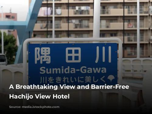 A Breathtaking View and Barrier-Free Comfort: Hachijo View Hotel