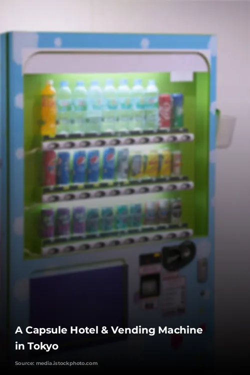 A Capsule Hotel & Vending Machine Adventure in Tokyo