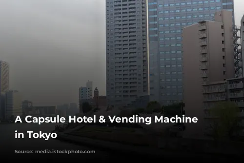 A Capsule Hotel & Vending Machine Adventure in Tokyo