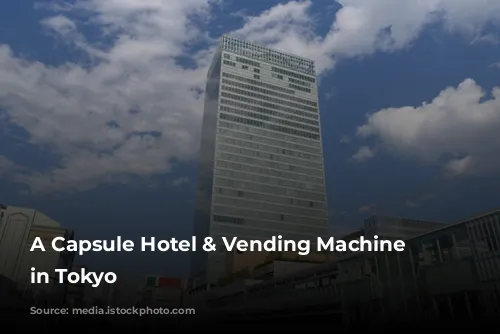 A Capsule Hotel & Vending Machine Adventure in Tokyo