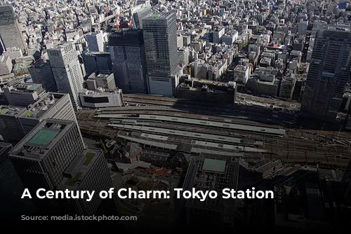  A Century of Charm: Tokyo Station Hotel