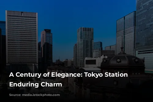 A Century of Elegance: Tokyo Station Hotel's Enduring Charm