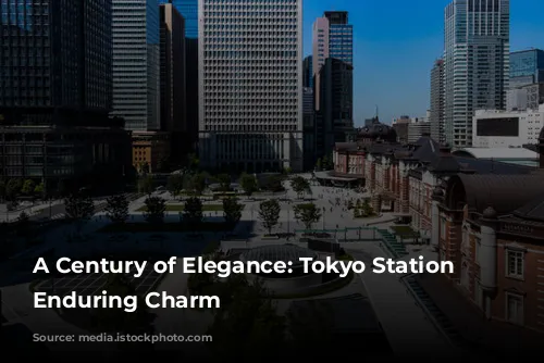 A Century of Elegance: Tokyo Station Hotel's Enduring Charm