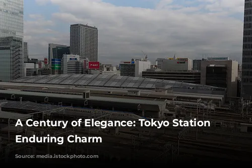 A Century of Elegance: Tokyo Station Hotel's Enduring Charm