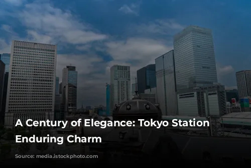 A Century of Elegance: Tokyo Station Hotel's Enduring Charm