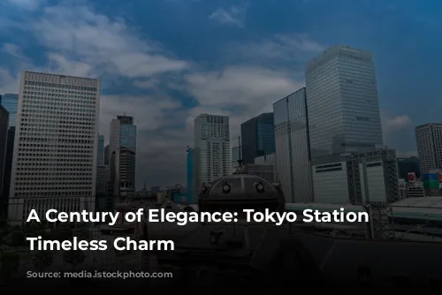 A Century of Elegance: Tokyo Station Hotel's Timeless Charm