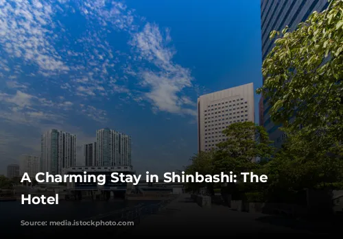 A Charming Stay in Shinbashi: The Blossom Hotel