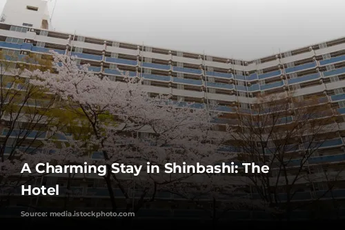 A Charming Stay in Shinbashi: The Blossom Hotel