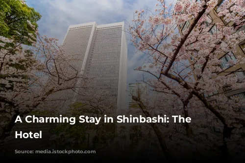 A Charming Stay in Shinbashi: The Blossom Hotel