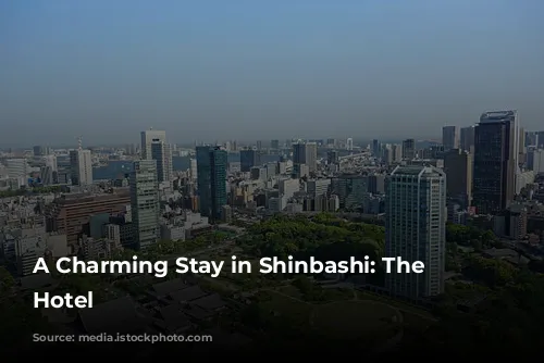 A Charming Stay in Shinbashi: The Blossom Hotel