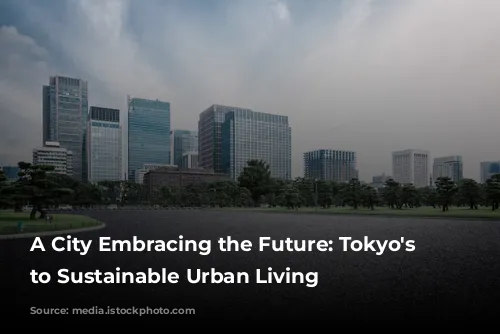 A City Embracing the Future: Tokyo's Journey to Sustainable Urban Living