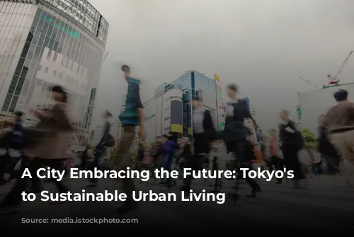 A City Embracing the Future: Tokyo's Journey to Sustainable Urban Living