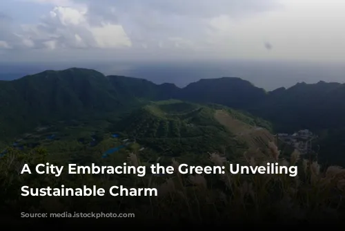 A City Embracing the Green: Unveiling Tokyo's Sustainable Charm