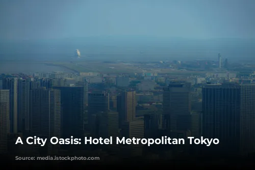 A City Oasis: Hotel Metropolitan Tokyo