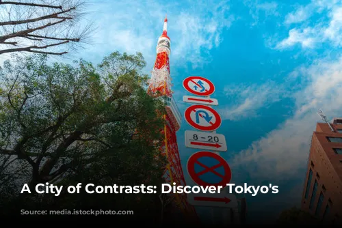 A City of Contrasts: Discover Tokyo's Charms