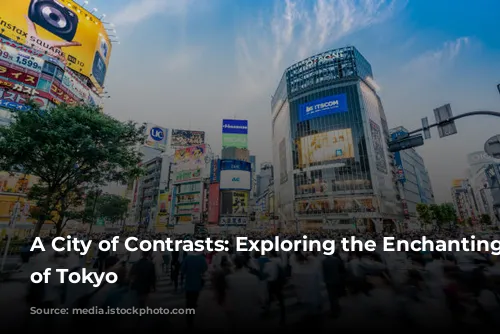 A City of Contrasts: Exploring the Enchanting Chaos of Tokyo