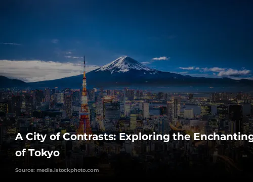 A City of Contrasts: Exploring the Enchanting Chaos of Tokyo