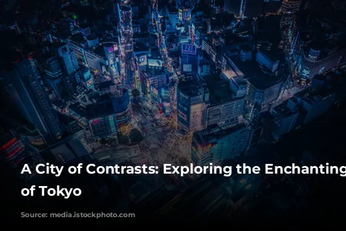 A City of Contrasts: Exploring the Enchanting Chaos of Tokyo