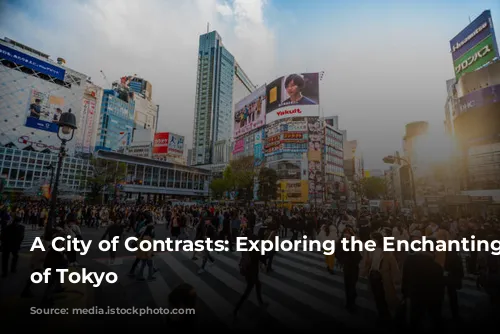 A City of Contrasts: Exploring the Enchanting Chaos of Tokyo