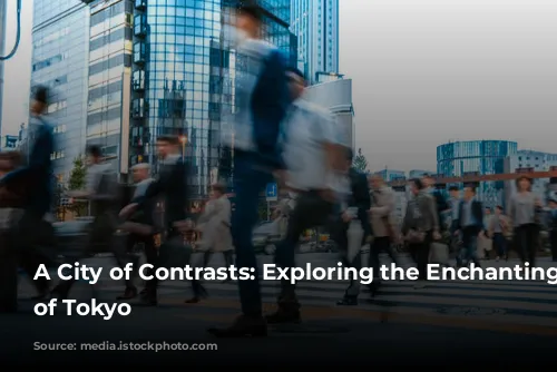 A City of Contrasts: Exploring the Enchanting Chaos of Tokyo