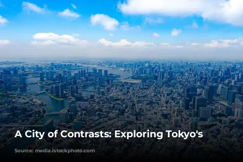 A City of Contrasts: Exploring Tokyo's Charms