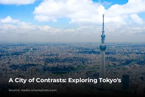 A City of Contrasts: Exploring Tokyo's Charms