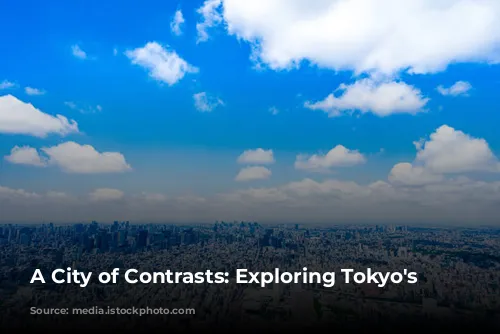 A City of Contrasts: Exploring Tokyo's Charms