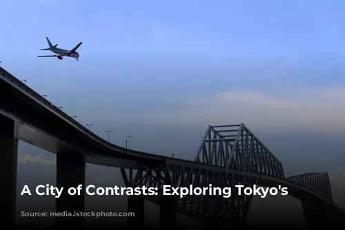 A City of Contrasts: Exploring Tokyo's Charms