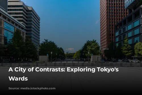 A City of Contrasts: Exploring Tokyo's Diverse Wards