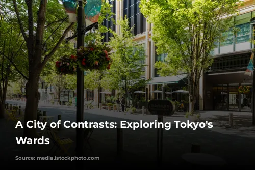 A City of Contrasts: Exploring Tokyo's Diverse Wards