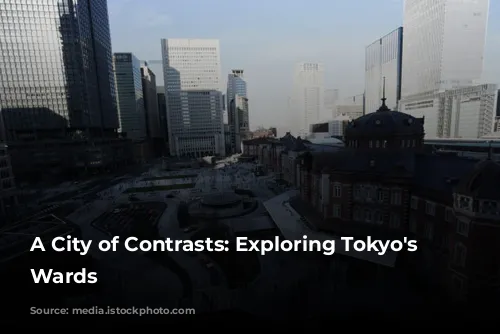 A City of Contrasts: Exploring Tokyo's Diverse Wards